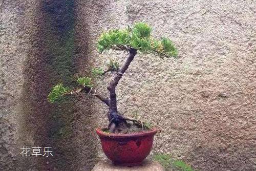 数码相机使用手动镜头色欲av无码电影一区二区三区，解锁摄影艺术的无限可能