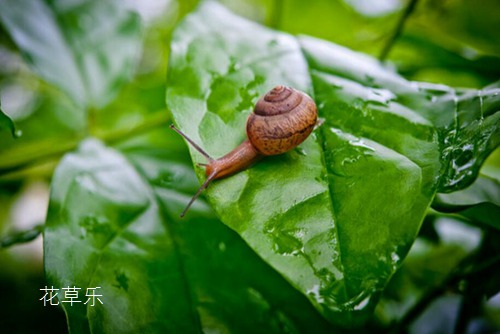 粉饼蜜粉色欲av无码电影一区二区三区，美妆界的甜蜜秘密，你的肌肤守护神